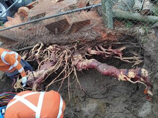 Underground Services & Hydrovac Excavation